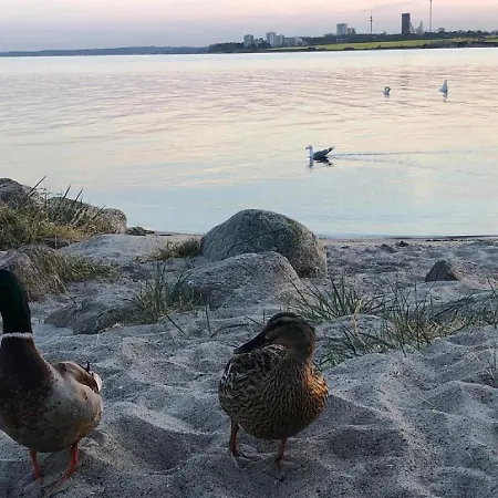 Vakantiehuis Ostseecamp Luebecker Bucht 