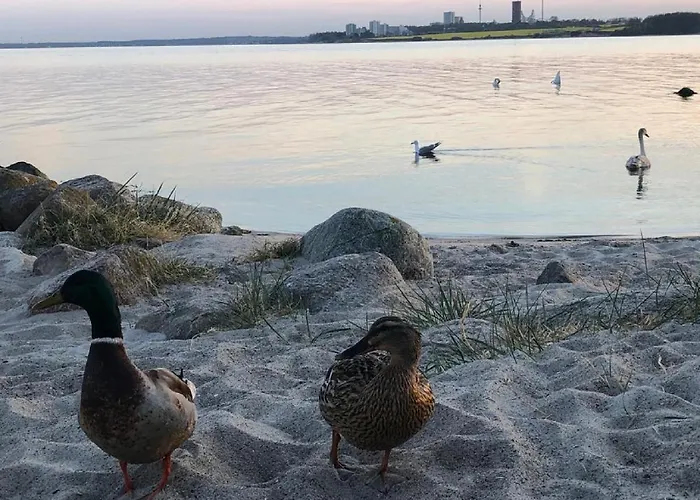 Dom wakacyjny Ostseecamp Luebecker Bucht 