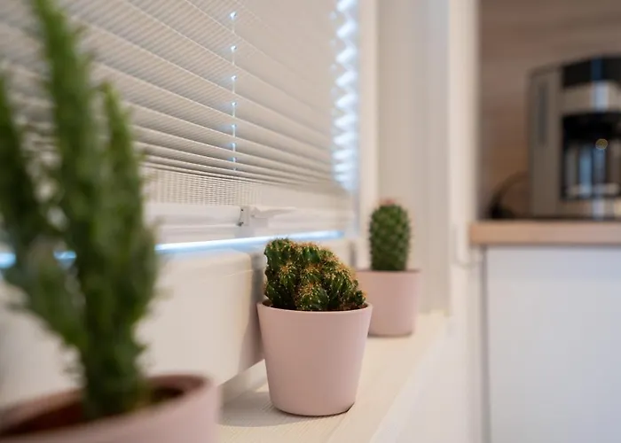 Ostseecamp Luebecker Bucht 